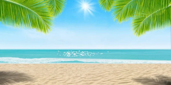 Summer Vacation Travel Holiday Concept Folhas Palma Praia Areia Com — Fotografia de Stock
