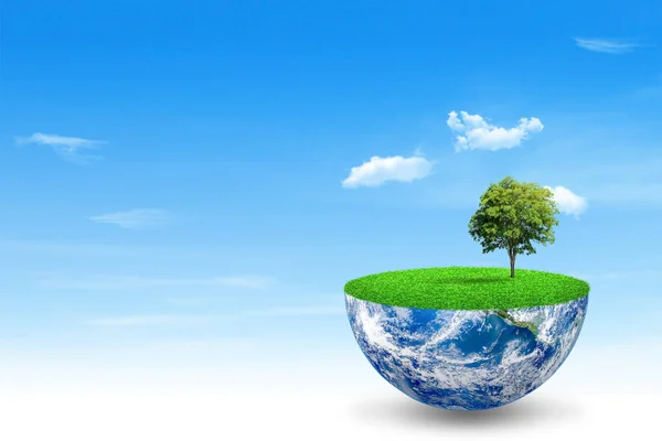 生态与环境概念 绿树生长在蓝天白云背景的蓝色地球上 本图片内容由美国国家航空航天局提供 — 图库照片