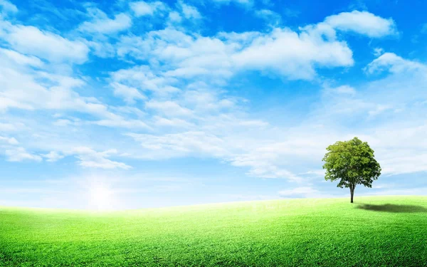 夏季绿树绿茵草甸 小山白云蓝天 风景秀丽 — 图库照片