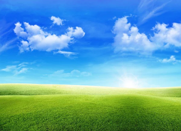 Schöne Landschaft Blick Auf Grünes Gras Wiese Feld Und Kleinen — Stockfoto