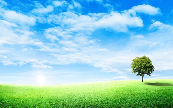 Beautiful Landscape View Green Tree Grass Meadow Field Little Hill Royalty Free Stock Photos