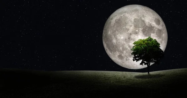 Полнолуние Космосе Зеленым Деревом Зеленой Траве Поля Elements Image Furnished — стоковое фото