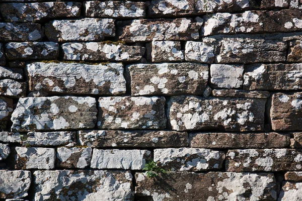 Mittelalterliche Steinmauer — Stockfoto