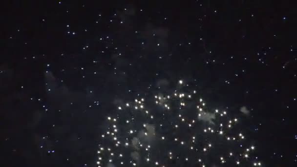 Большой яркий фейерверк на четвертое июля — стоковое видео