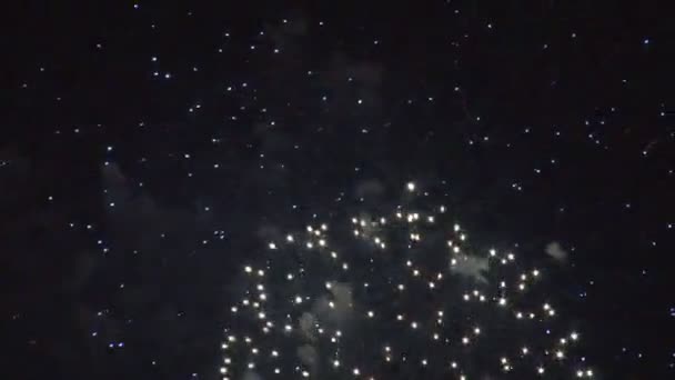 Grandi fuochi d'artificio luminosi il 4 luglio — Video Stock