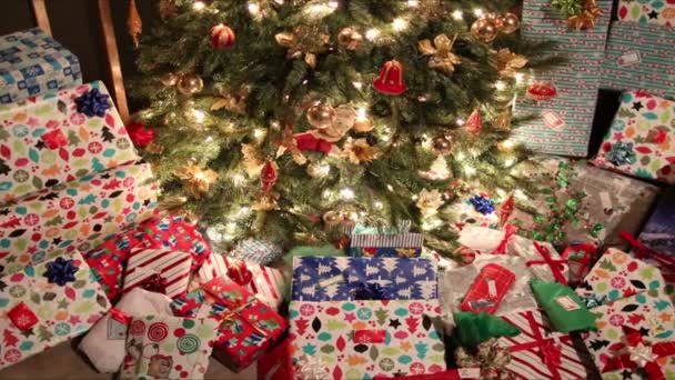 Christmas presents under tree — Stock Video