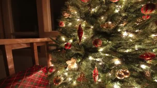 Weihnachtsbaum in der Nacht — Stockvideo