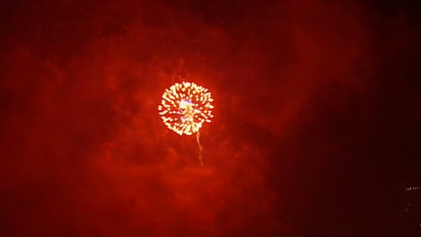 Feuerwerk explodiert am Himmel — Stockvideo