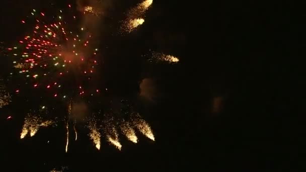 Tűzijáték robban az éjszakai égbolton — Stock videók