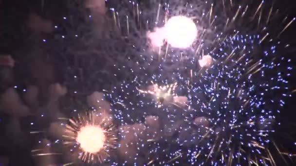 Fogos de artifício no céu — Vídeo de Stock