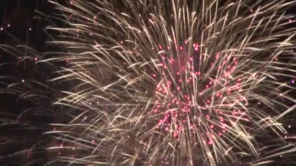 Sparkly gouden vuurwerk ontploft — Stockvideo