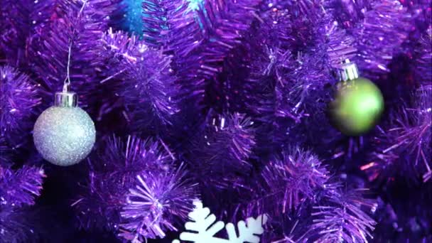 Timelapse árbol de navidad púrpura — Vídeo de stock