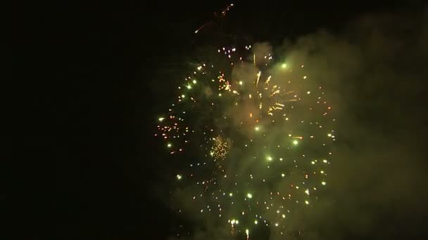 Vuurwerk explodeert in de nachtelijke hemel — Stockvideo