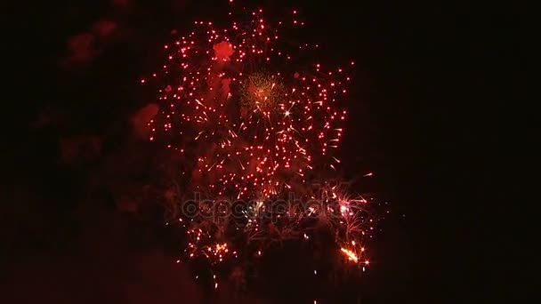 Взрывы фейерверков в ночном небе — стоковое видео