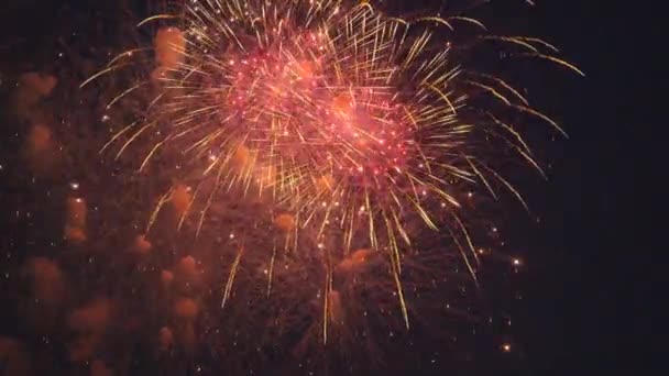 Vuurwerk aan de nachtelijke hemel — Stockvideo