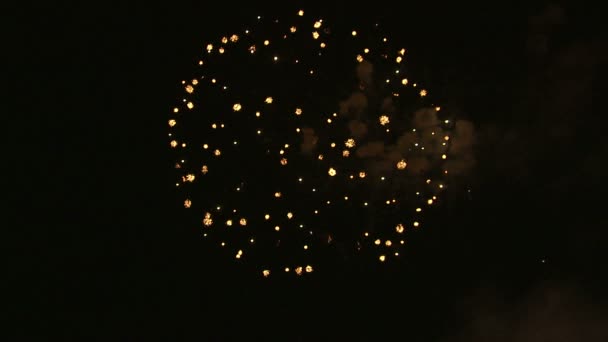 Fuochi d'artificio esplodono nel cielo notturno — Video Stock