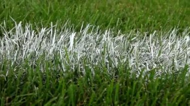 Dolly çim spor sahası üzerinde beyaz boya satırının