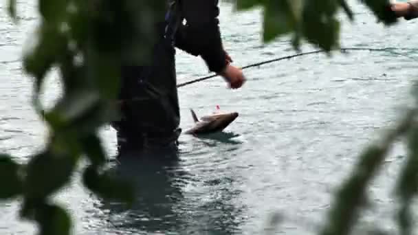 Yakala ve bırak Balık tutma — Stok video
