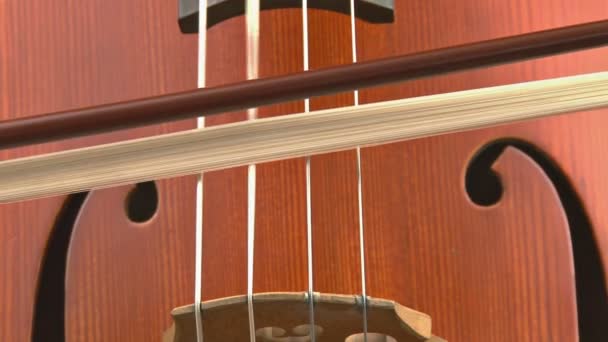 Esecuzione su violoncello — Video Stock