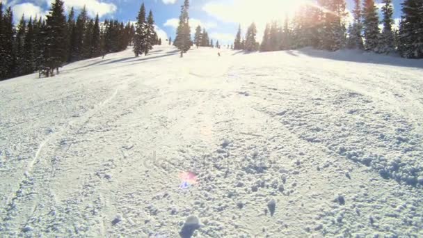 Лыжник под солнцем — стоковое видео