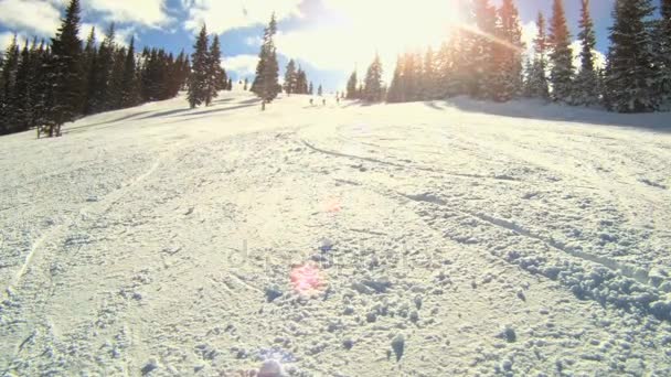 Três esquiadores esqui câmera passada — Vídeo de Stock