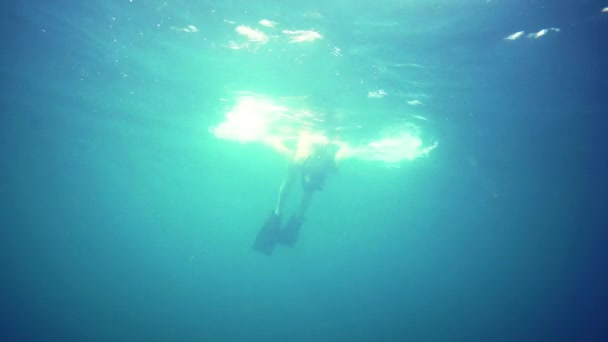 Mulher mergulho subaquático snorkel — Vídeo de Stock