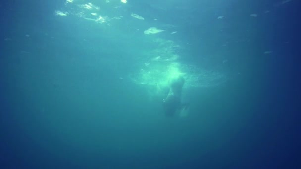 Vrouw onderwater duiken snorkel — Stockvideo