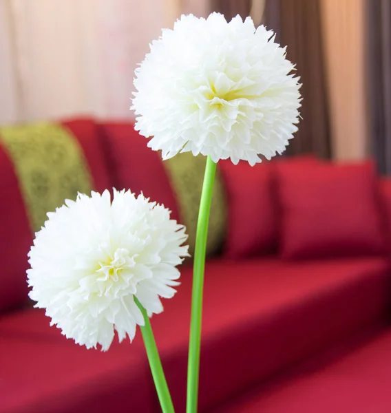 Plastová květina v obývacím pokoji — Stock fotografie