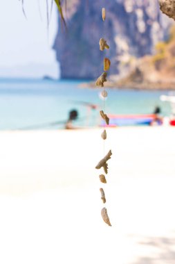 Çeşitli kabuklardan yapılmış mobil