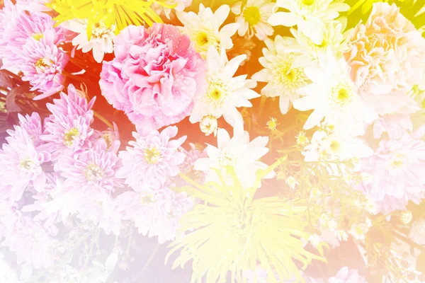 Fundo flores coloridas — Fotografia de Stock