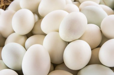 Ördek yumurta sepeti