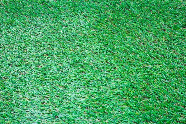 Green grass background texture. — Stock Photo, Image