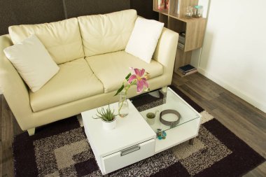 Dekore edilmiş Modern iç 