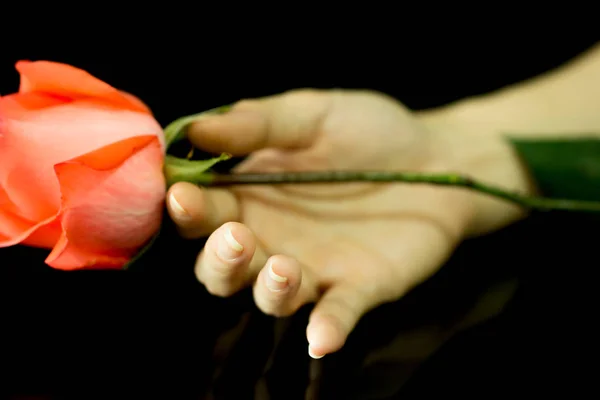 Rosa desenfoque en la mano — Foto de Stock