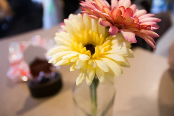 Nahaufnahme schöne Blume — Stockfoto