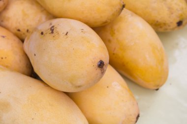 Kadar taze mango kapatın