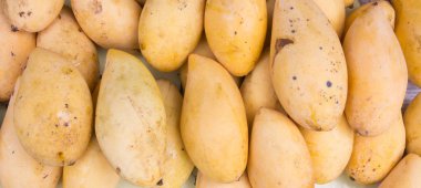 Kadar taze mango kapatın