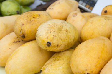 Kadar taze mango kapatın