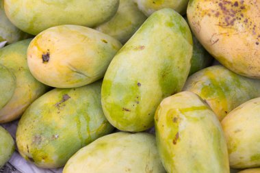 Kadar taze mango kapatın