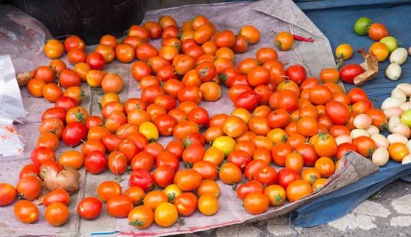 Ekologiska tomater till salu — Stockfoto