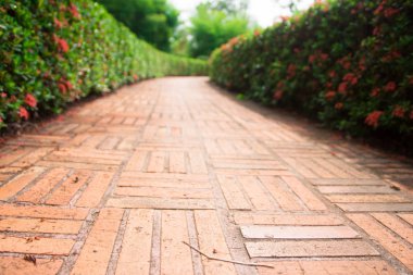 yeşil park taş yol