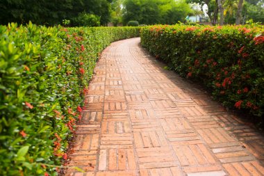 yeşil park taş yol