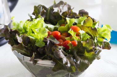 Domates yeşil meşe salata sebze ile