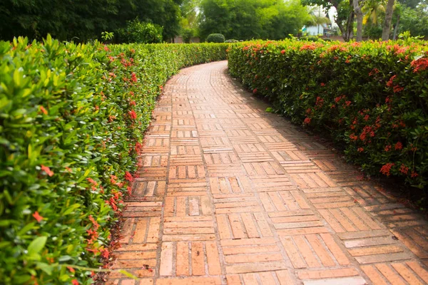 yeşil park taş yol