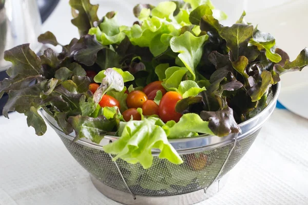 Domates yeşil meşe salata sebze ile