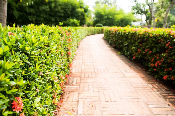 yeşil park taş yol