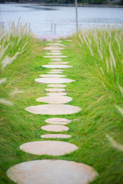 Διάδρομος πέτρα για την πράσινη χλόη — Φωτογραφία Αρχείου