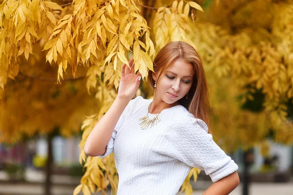Mulher bonita no parque de outono com folhas amarelas — Fotografia de Stock