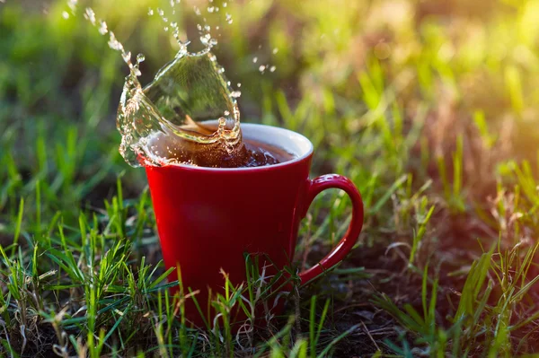 Taza de café rojo en la hierba verde —  Fotos de Stock