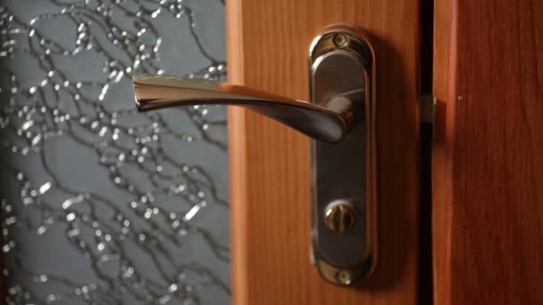 Woman hand opening wooden door. Holding a gold door handle — Stock Video